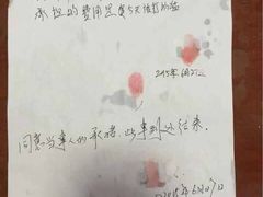 盛京一禾-盛京一禾