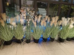 -野妹火锅(龙岗店)