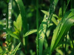 -敬亭山风景名胜区