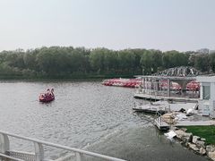 -大兴滨河森林公园