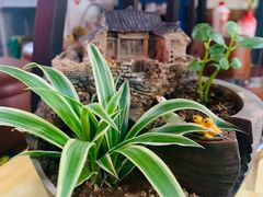 -丽江庭院·云南野生菌·海鲜火锅(鼓楼四合院店)