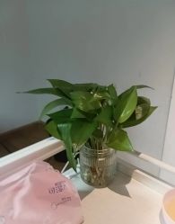 -Dr.林醫生产后修复·配方产康店(南京大厂店)