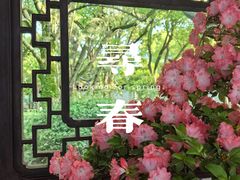 -上海醉白池公园