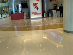 -陈露国际冰上中心(天津嘉里汇店)