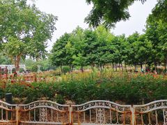 -岳阳道小学(大理道校区)