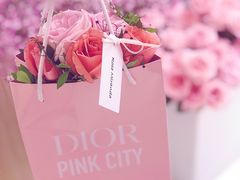 -Dior迪奥(上海世茂广场店)