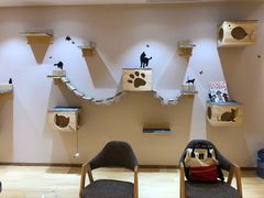 -Pets First伊珊娜洗护·精致美容·家庭式寄养(新会路店)