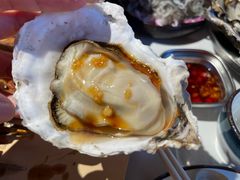-蚝堡海鲜·威海菜·海肠捞饭·烧烤·亚洲吃蚝公司(幸福门店)
