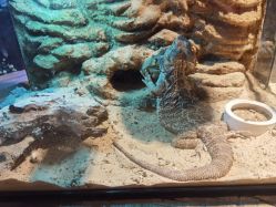 -酷嗒动物文化乐园(cutezoo西溪乐天城店)