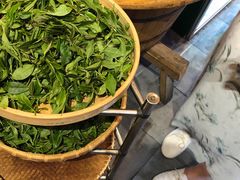 -豫园湖心亭茶楼