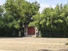 -北坞公园