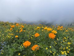 -驼梁风景区