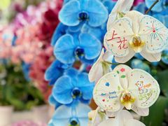 -上海鲜花港