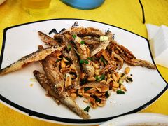 -胖大姐黄辣丁鱼庄(新津店)