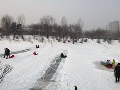 -长春公园(普阳街道)