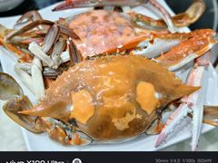 -戴河香地方名吃海鲜大馅蒸饺(黄金海岸一店)