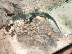 -上海大自然野生昆虫馆