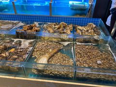 水产区-梅花香里大酒店(郁金香路店)