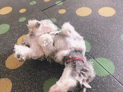 -炼健身私教工作室