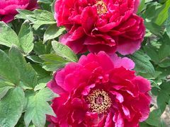 -江南大学(蠡湖校区)