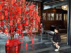 -成都博舍酒店