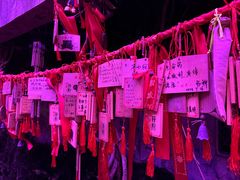 -印象普陀