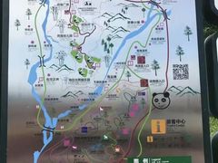 -中国大熊猫保护研究中心雅安碧峰峡基地