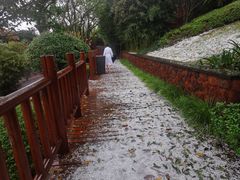 -七彩云南古滇温泉山庄