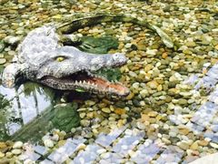 -龙达温泉生态城