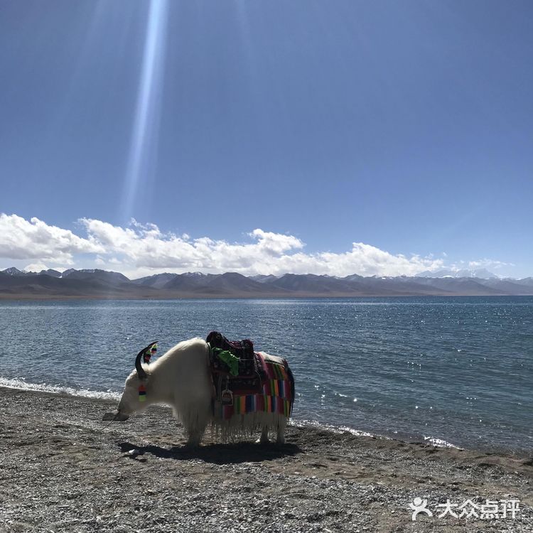 很多人会带上氧气瓶 因为是持续六七个小时都是高海拔