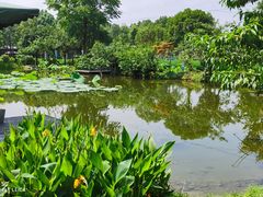 -洪湖家庭农场·团建·露营·会议
