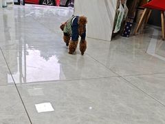 -瑞鹏瑞爱宠物医院·全科·猫科·血液透析中心(龙头寺店)