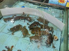 -渔民新村(番禺总店)