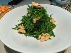 -悦融琥珀·京鲁菜·海味珍品(西单店)