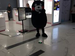 -凯德MALL(望京店)