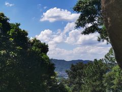 -火炉山森林公园