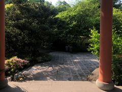 -南山植物园
