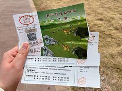-青藏高原野生动物园