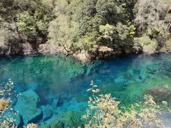 -叠溪松坪沟景区