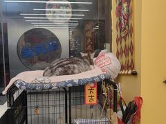 -谜盒子奇幻密室(南屏店)