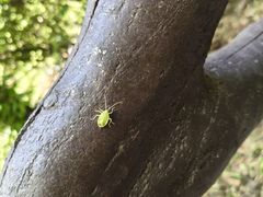 -终南山南五台景区