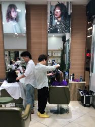 -环球蝶上美业连锁