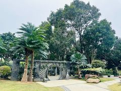-深圳仙湖植物园