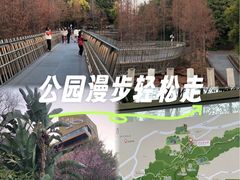 -福道