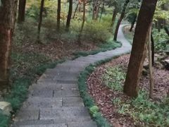 -山外山菜馆(玉泉路店)