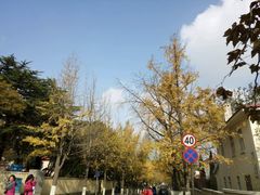 -八大关景区