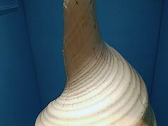 -温州博物馆