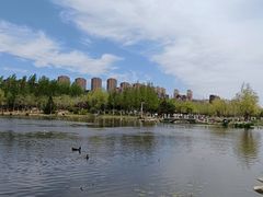 -前关湿地公园