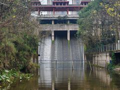-重庆彩云湖湿地公园