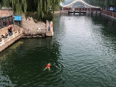 -柳浪游泳场